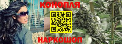 СК Дубна