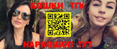 шишки Аргун