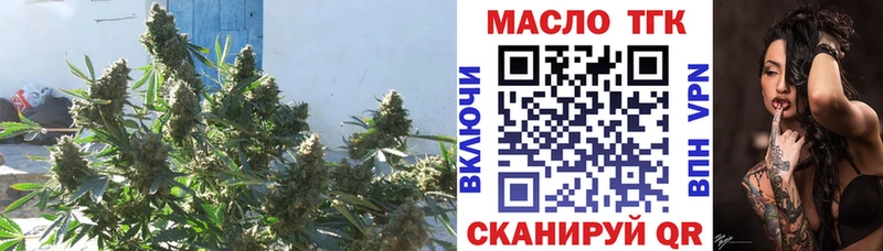 Дистиллят ТГК гашишное масло  Малгобек 