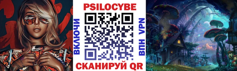 хочу наркоту  блэк спрут сайт  Псилоцибиновые грибы ЛСД  Малгобек 