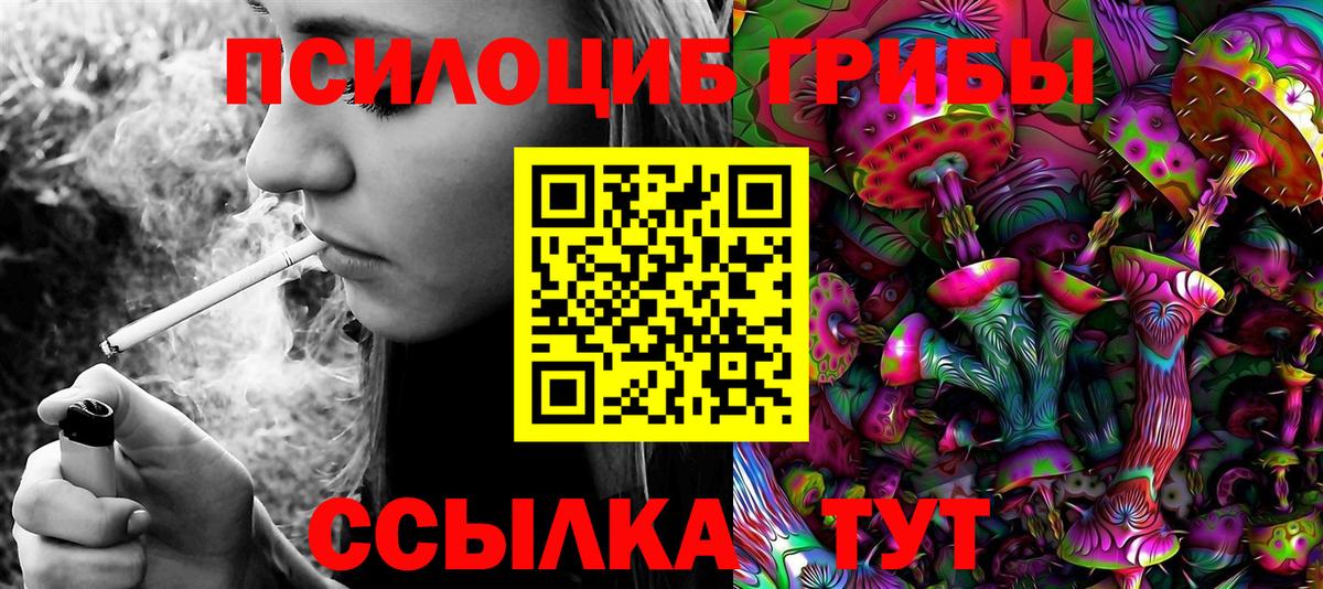 Псилоцибиновые грибы MAGIC MUSHROOMS  Псилоцибиновые грибы MAGIC MUSHROOMS  Вход с VPN  Малгобек 