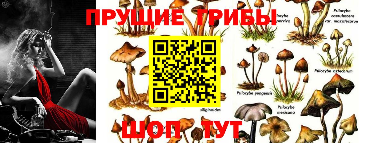 Псилоцибиновые грибы Magic Shrooms Малгобек