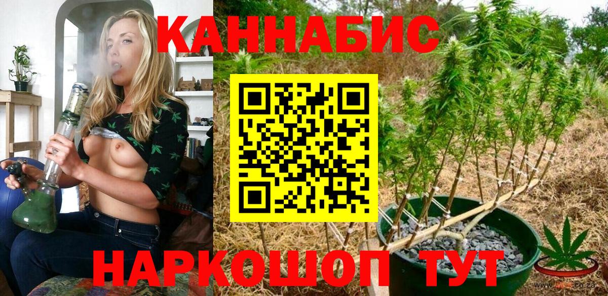Бошки Шишки Bruce Banner  Бошки Шишки OG Kush  Малгобек  Бошки Шишки план  Вход с VPN  МАРИХУАНА планчик 